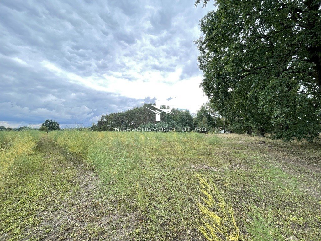 Działka rolna na sprzedaż Sierczynek  3 200m2 Foto 9