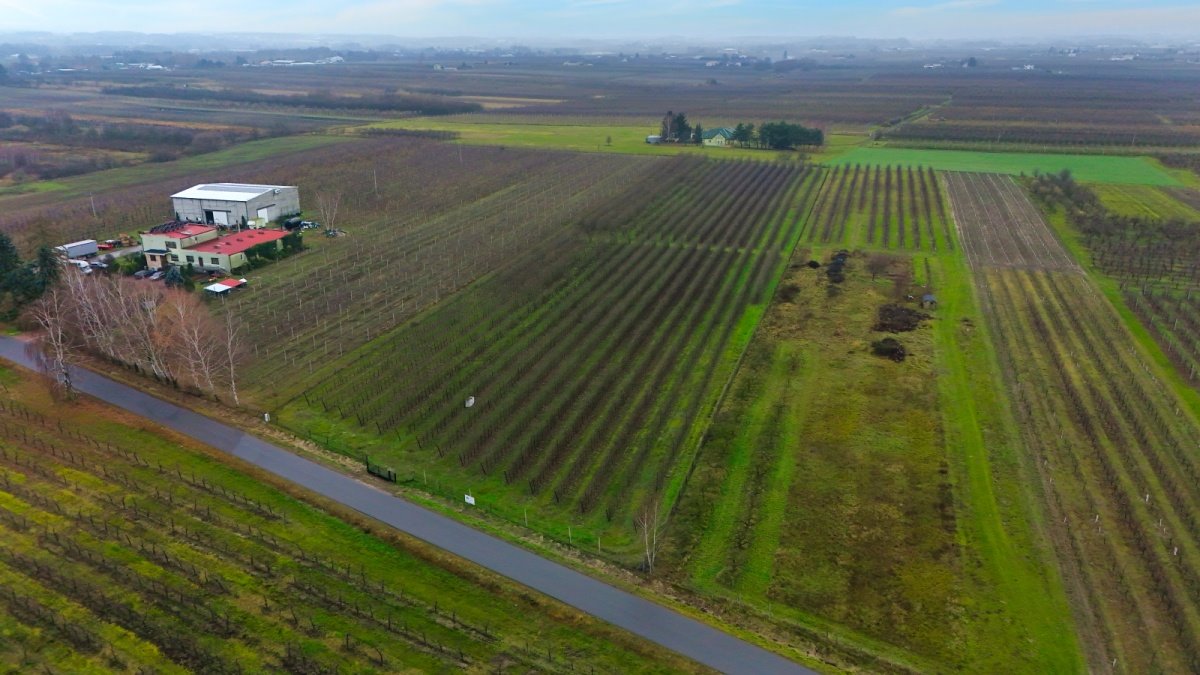 Działka budowlana na sprzedaż Warpęsy  1 200m2 Foto 8