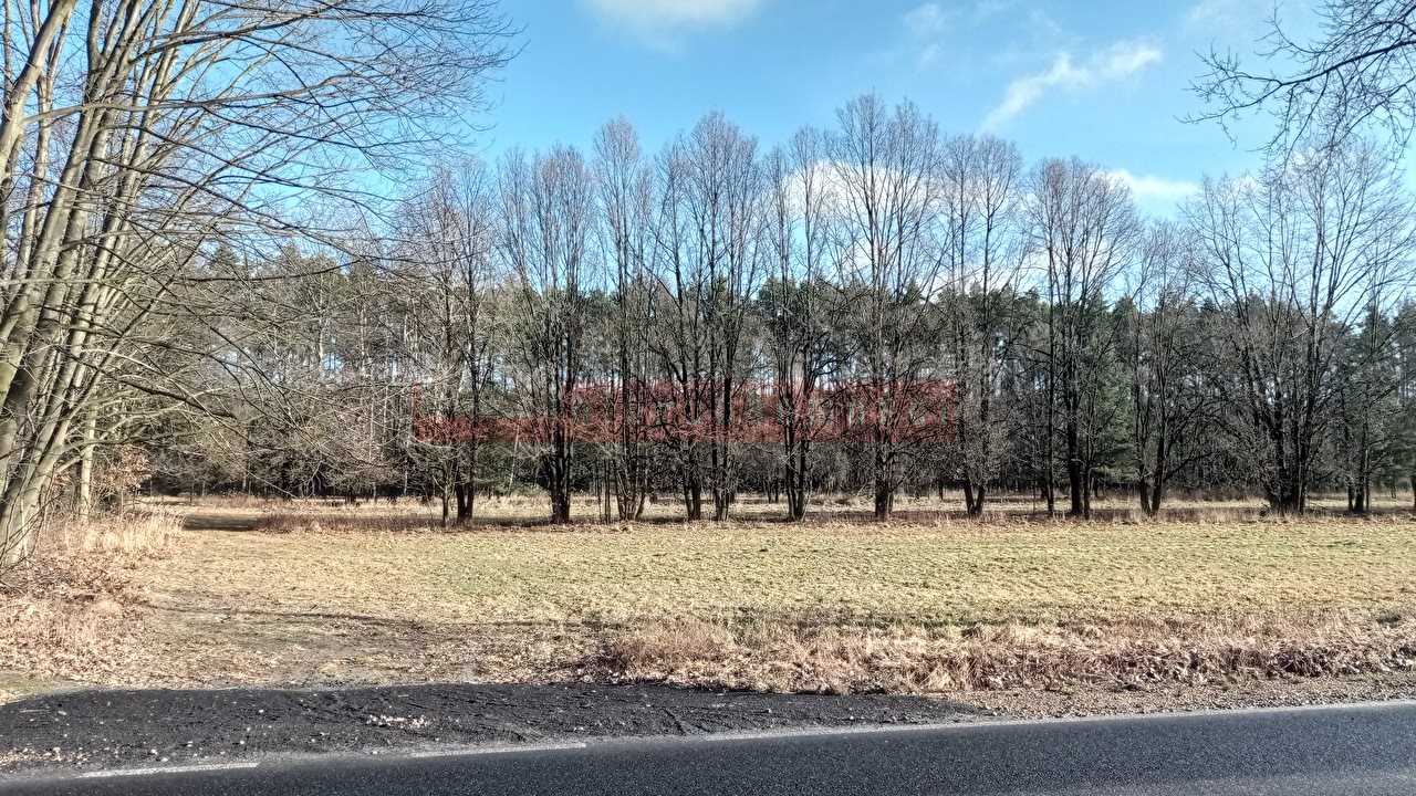 Polecam działkę 2ha z możliwością podziału i dostępem do lasu Ładza  20 600m2 Foto 1