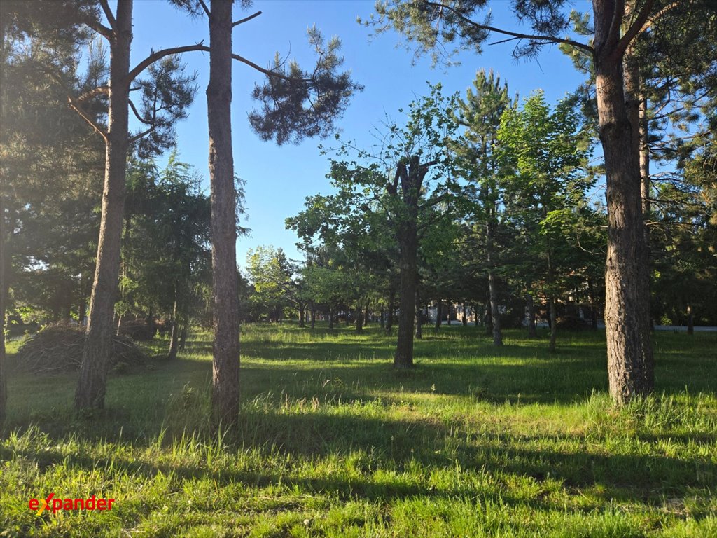 Zapraszam do obejrzenia nowoczesnego domu 164 m² z ogrodem i garażem Wierzchowisko, Parkowa 11  164m2 Foto 1