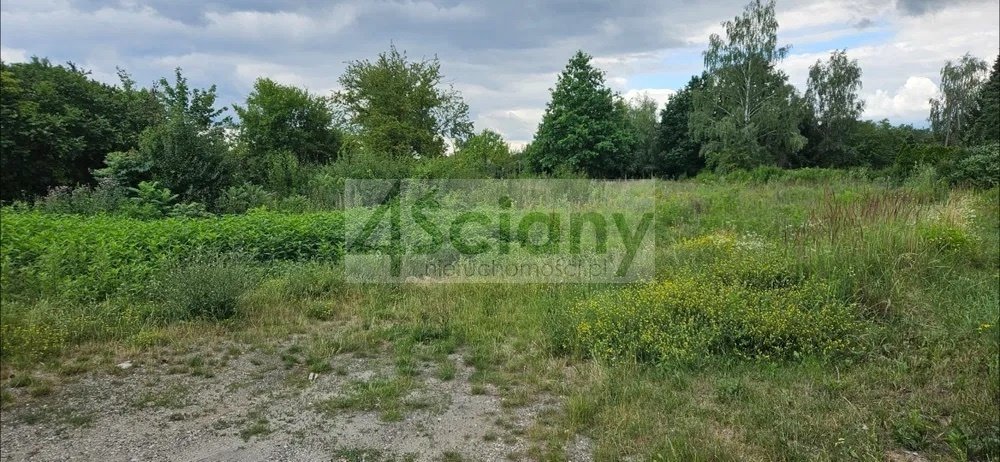 Działka 2200 m² z mediami i podziałem - idealna inwestycja. Gołków  2 176m2 Foto 1