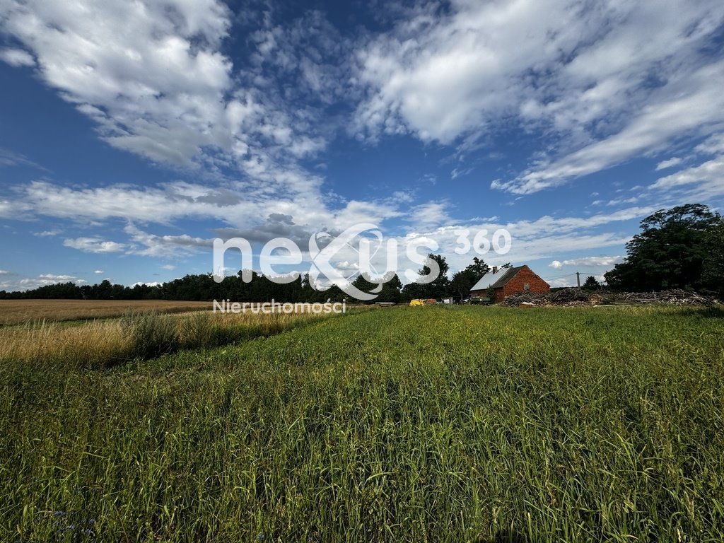 Działka budowlana na sprzedaż Sądrożyce  5 324m2 Foto 3