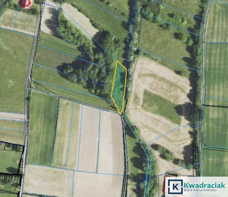 Działka rolna 1,22 ha z dostępem do drogi w Gogołowie Gogołów  12 200m2 Foto 1