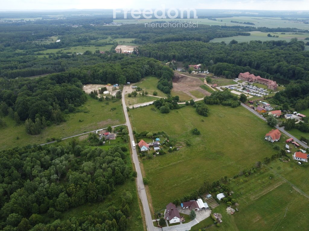 Działka budowlana na sprzedaż Gałęzinowo  5 100m2 Foto 2