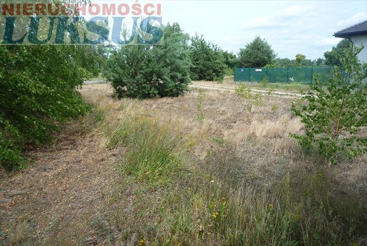Działka budowlana na sprzedaż Prace Duże, Prace Duże 1 000m2 Foto 1 Działka budowlana na sprzedaż Prace Duże, Prace Duże 1 000m2 Foto 1