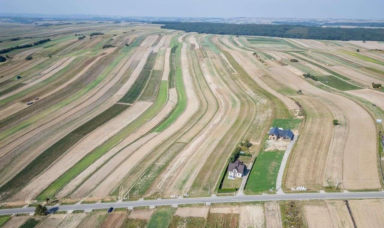 Działka siedliskowa na sprzedaż Sułoszowa  29 400m2 Foto 6