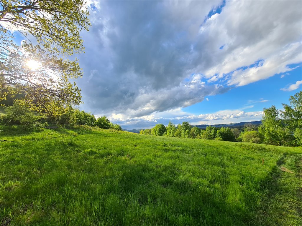 Działka budowlana na sprzedaż Podgórzyn, Nowa  1 100m2 Foto 7