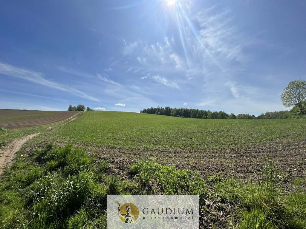 Działka 2138 m² w Złej Wsi – idealna pod inwestycję Zła Wieś  2 138m2 Foto 1