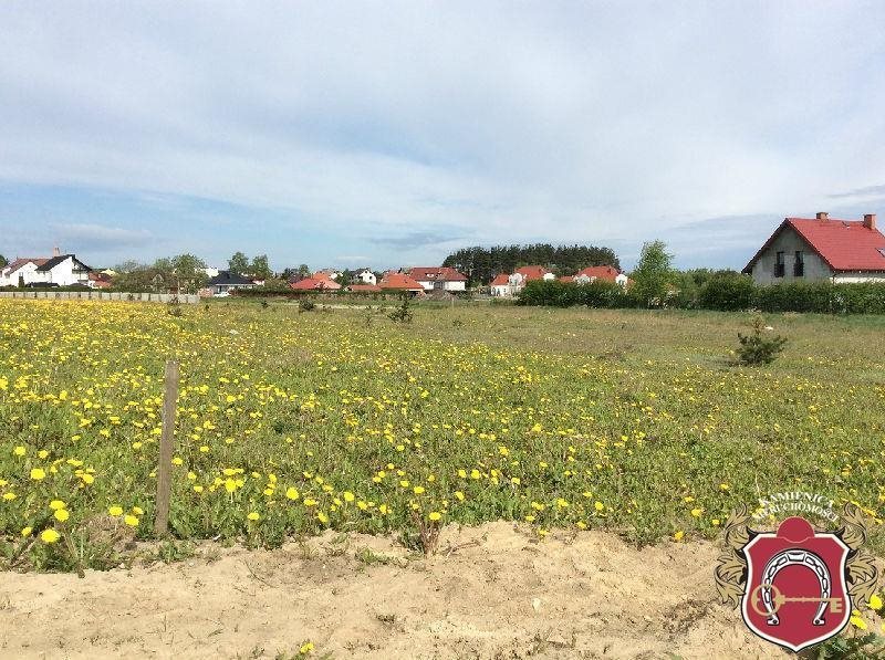Działka rolna na sprzedaż Bojano, Diamentowa 3 000m2 Foto 1 Działka rolna na sprzedaż Bojano, Diamentowa 3 000m2 Foto 1
