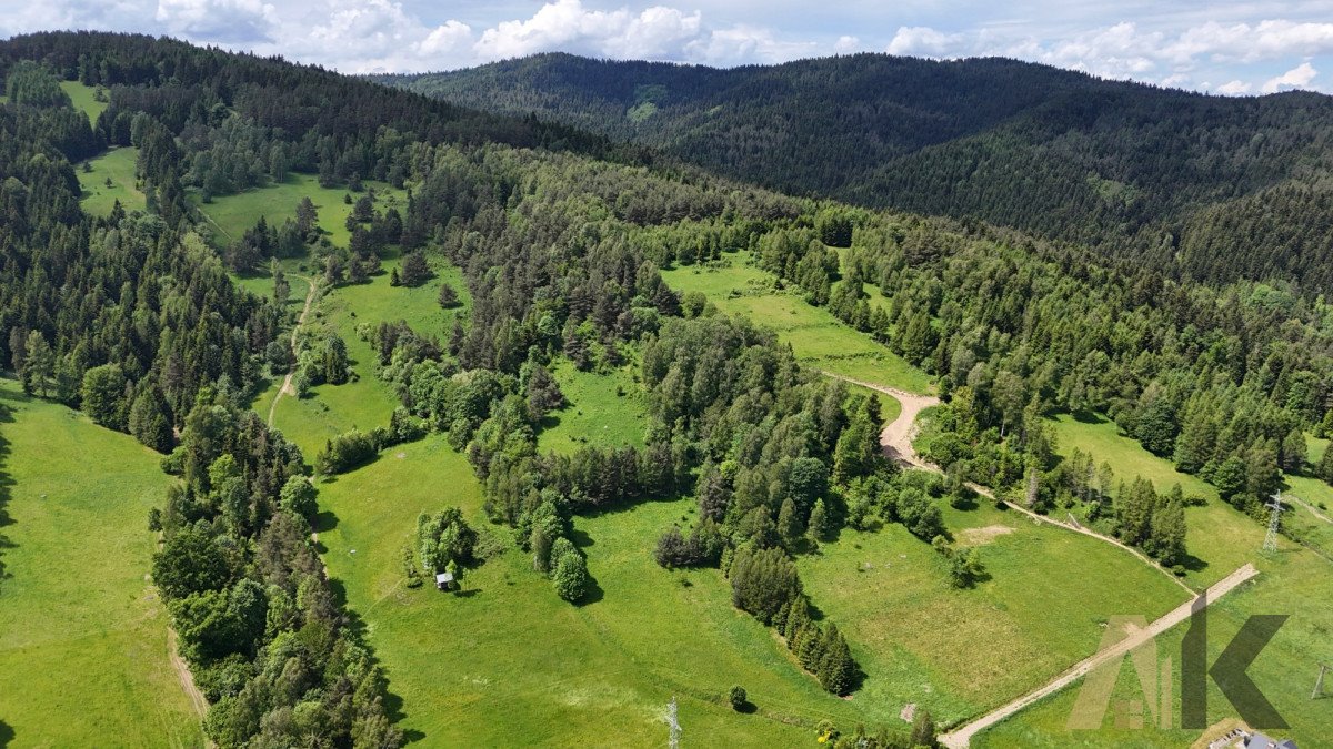 Działka rolna na sprzedaż Nowa Wieś  38 500m2 Foto 6