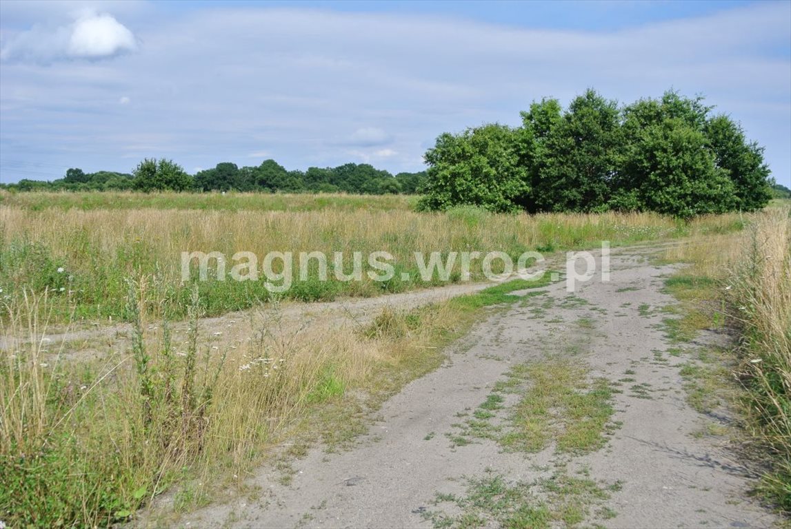 Działka rolna na sprzedaż Wrocław, Psie Pole, Kowale, okolice Chłopskiej  6 069m2 Foto 2