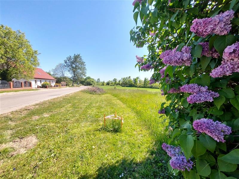 Działka budowlana na sprzedaż Zakrzewo, Zakrzewo  1 255m2 Foto 1