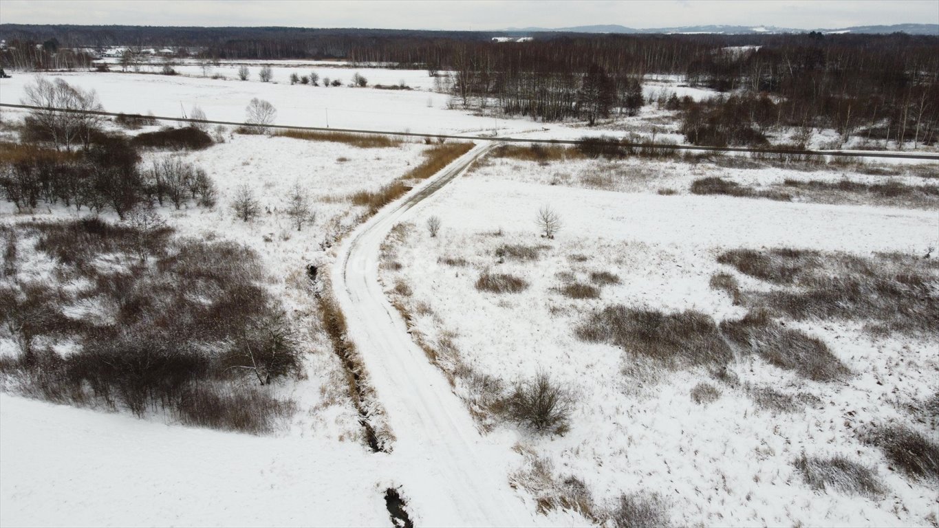 Działka przemysłowo-handlowa na sprzedaż Borek  3 988m2 Foto 5