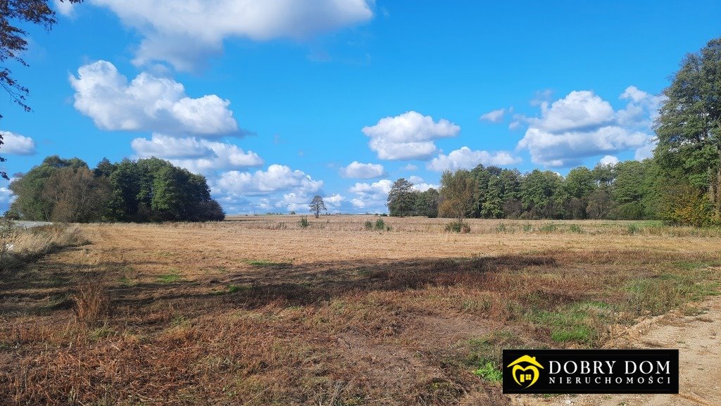 Działka budowlana na sprzedaż Krypno Kościelne  1 362m2 Foto 12