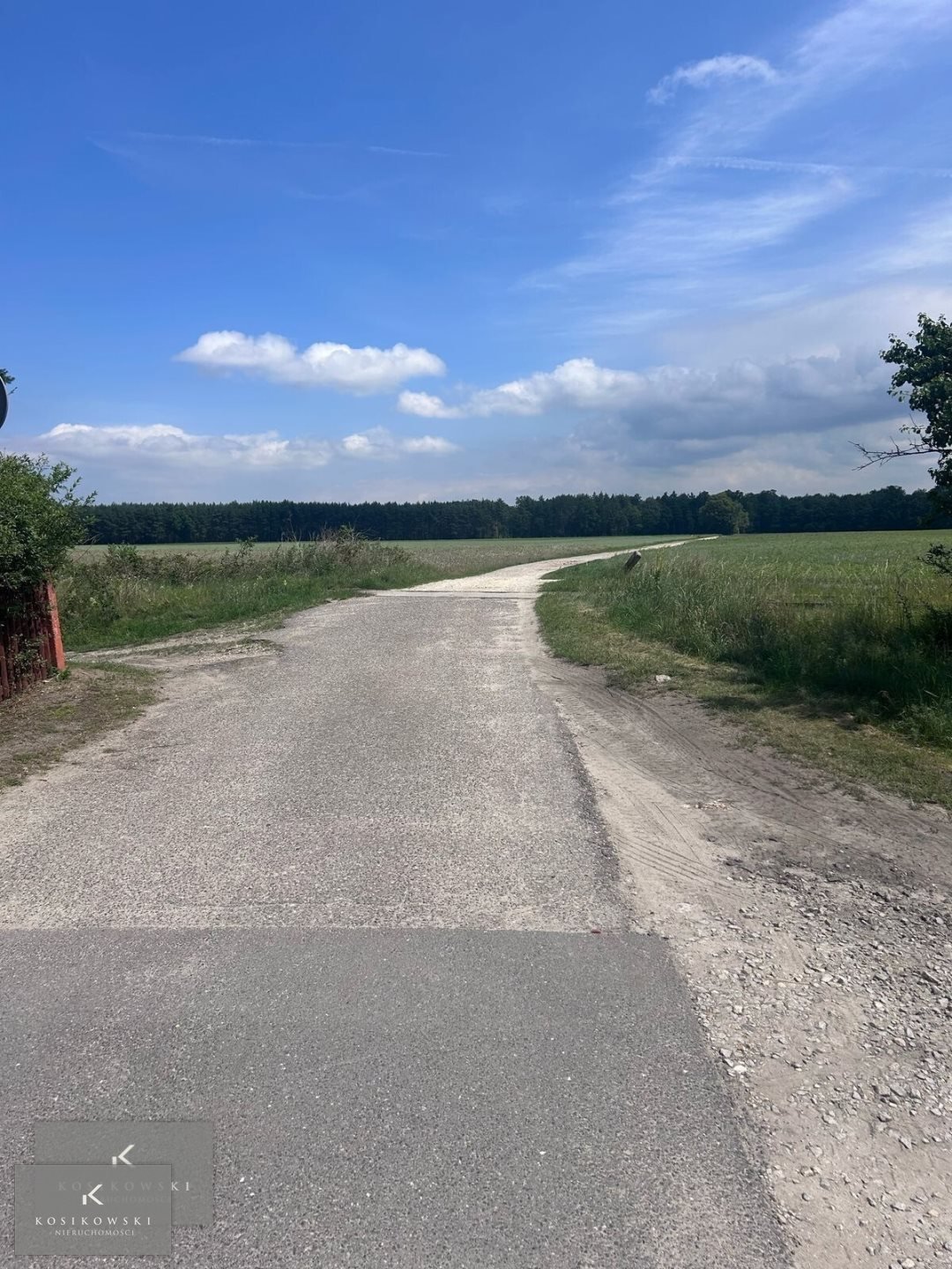 Działka inna na sprzedaż Pokój, Zieleniec  4 900m2 Foto 8