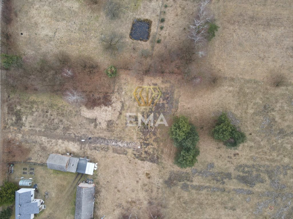 Działka budowlana na sprzedaż Rudnik Wielki, Gajowa  10 780m2 Foto 6