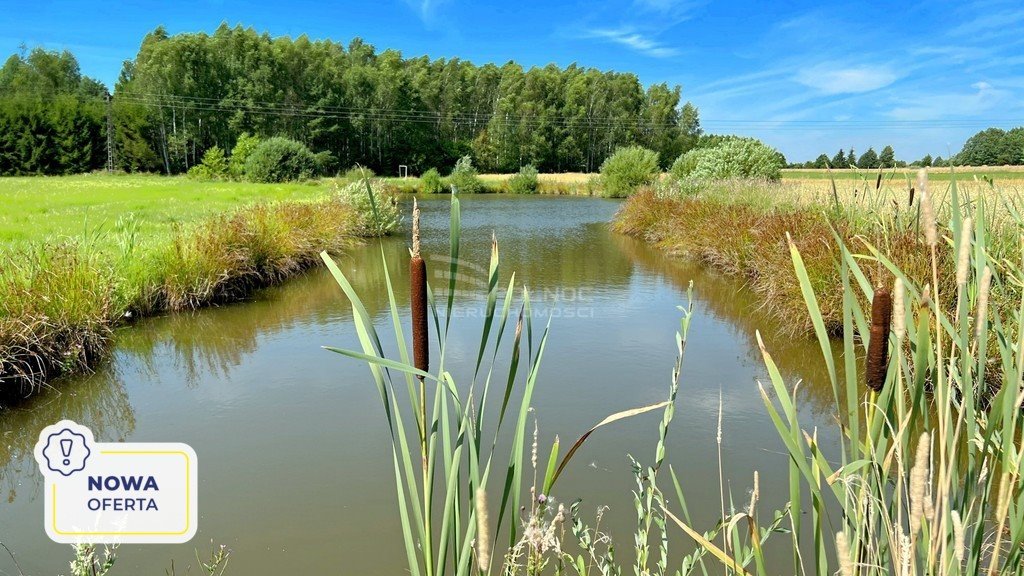 Działka siedliskowa na sprzedaż Henrykowo  80 400m2 Foto 1