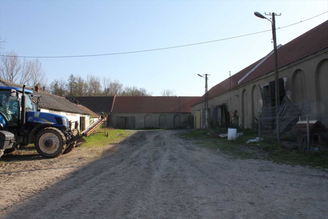 Lokal użytkowy na sprzedaż Szczepanów  2 000m2 Foto 5