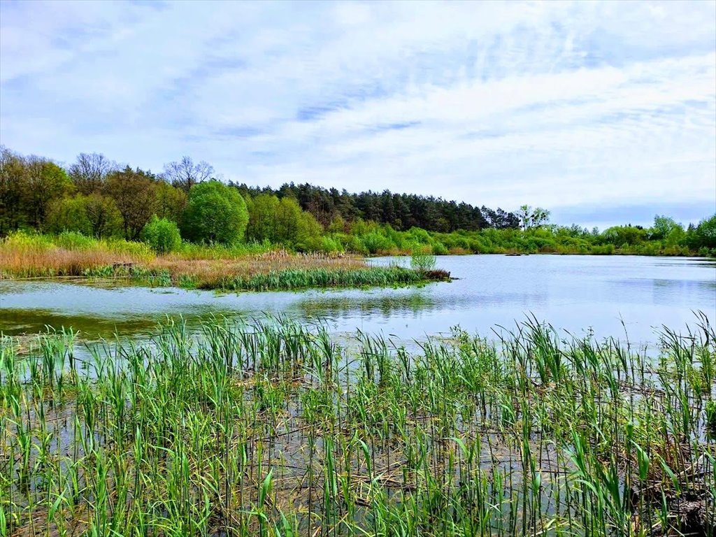 Dom na sprzedaż Rów  140m2 Foto 5