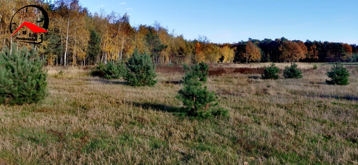 Działka gospodarstwo rolne na sprzedaż Gołąbki  138 960m2 Foto 7