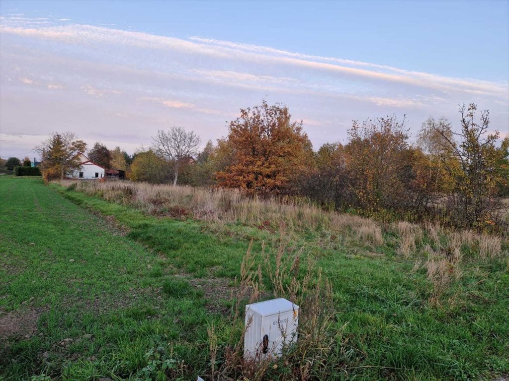 Działka budowlana na sprzedaż Gajków  1 000m2 Foto 7