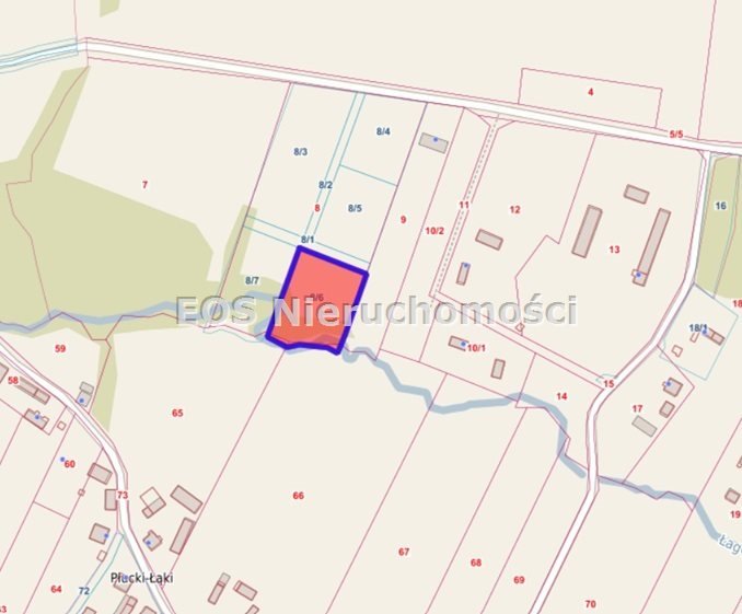 Działka budowlana na sprzedaż Płucki  3 200m2 Foto 1