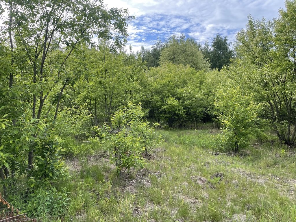 Działka budowlana na sprzedaż Słupno  905m2 Foto 1
