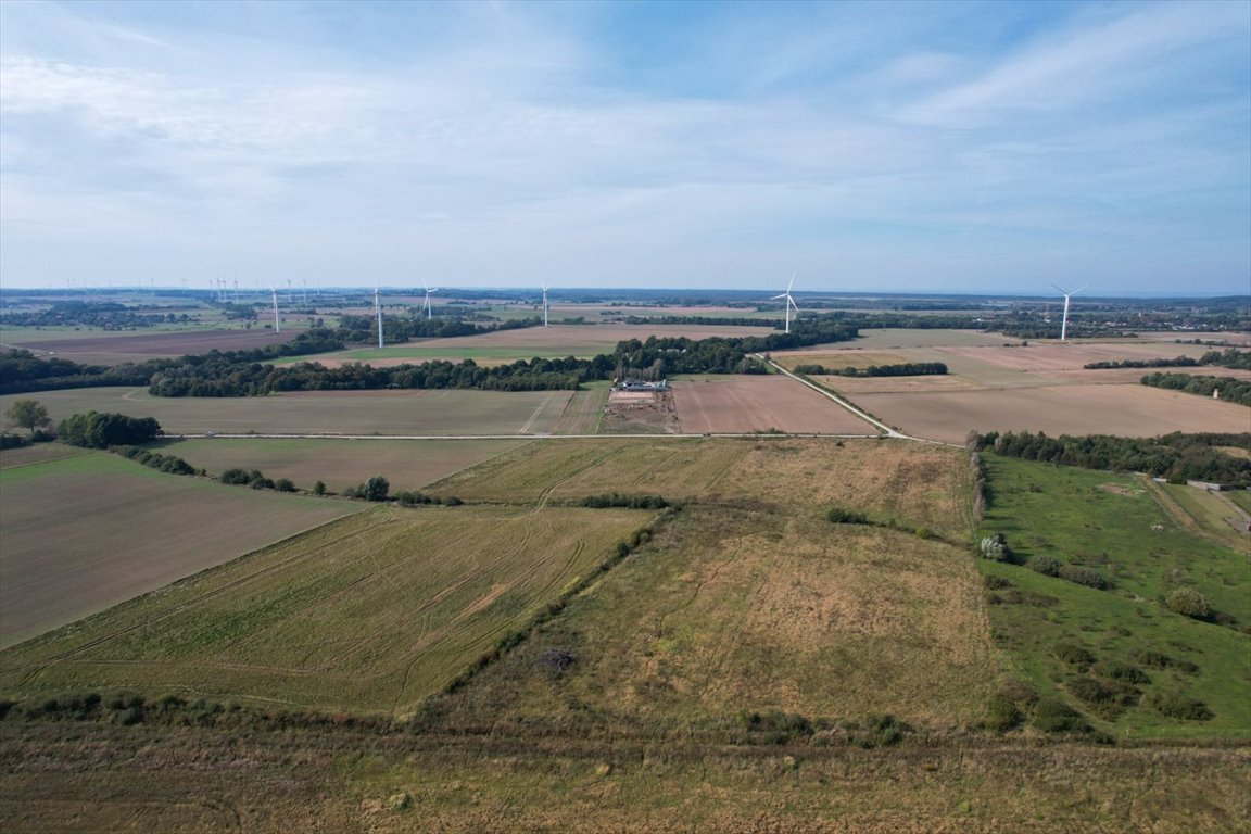 Działka rolna na sprzedaż Duninówko, Duninówko  3 050m2 Foto 3