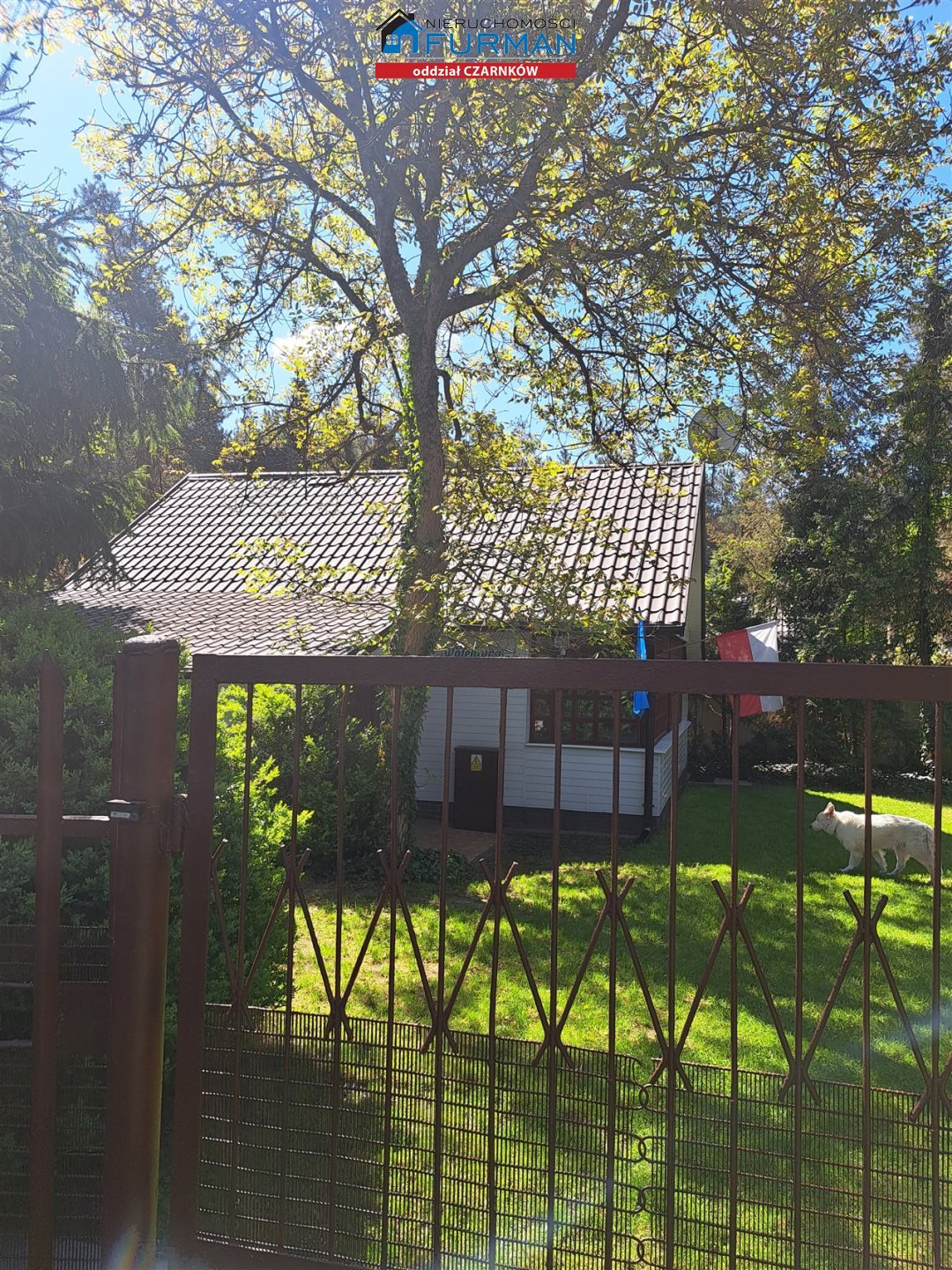 Dom na sprzedaż Miały  67m2 Foto 1