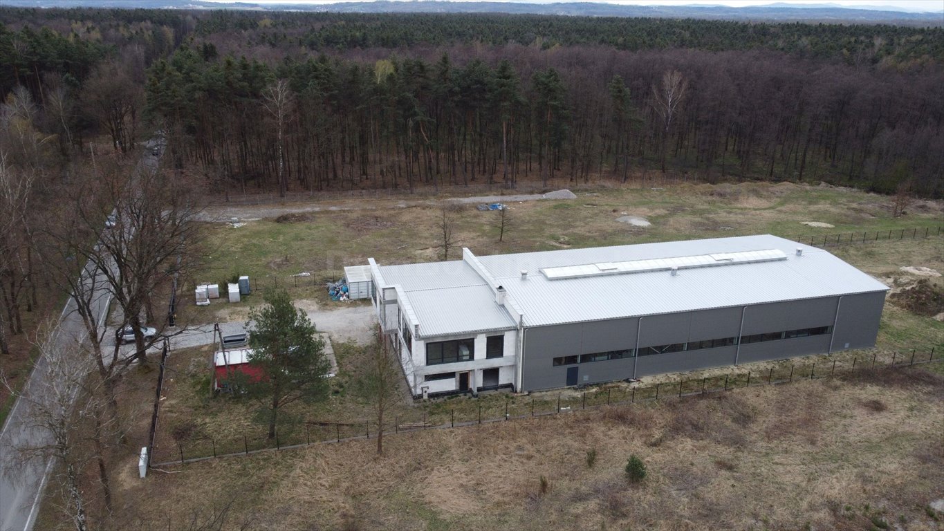 Lokal użytkowy na sprzedaż Dąbrówka  1 173m2 Foto 10