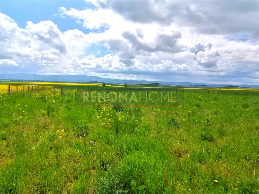 Działka budowlana na sprzedaż Książnica  1 200m2 Foto 5