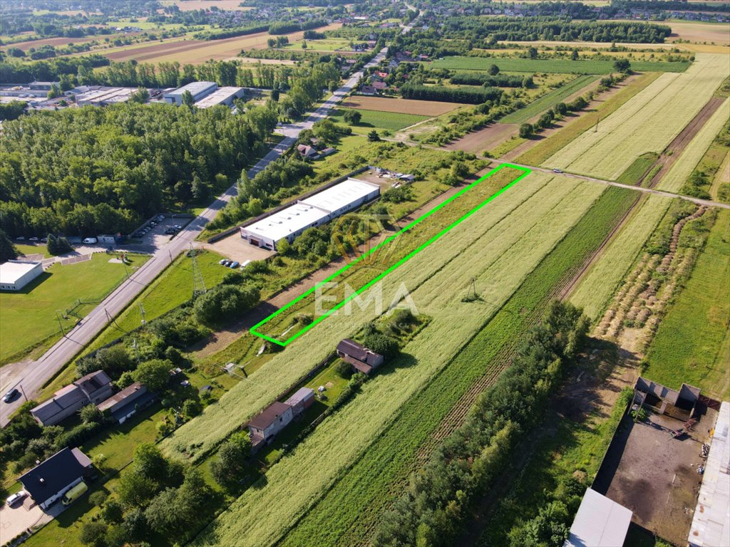 Działka budowlana na sprzedaż Rudniki, Rolnicza  3 639m2 Foto 7