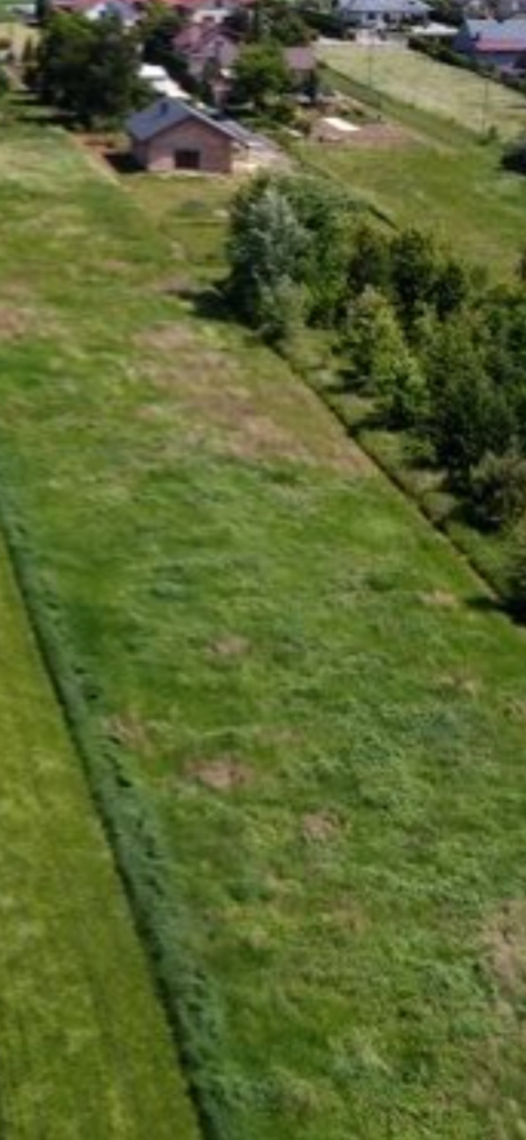 Działka 55,94 a z mediami, zabudowa siedliskowa Wola Mielecka  5 594m2 Foto 1