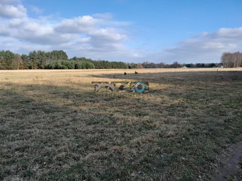 Działka budowlana na sprzedaż Nowiny, Nowiny, Nowiny  3 000m2 Foto 10