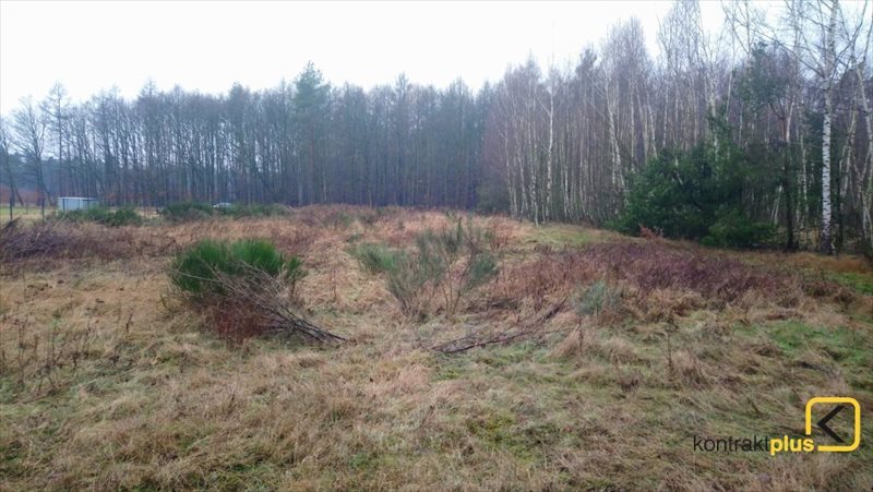 Działka budowlana na sprzedaż Orzesze, Woszczyce, Palowicka 900m2 Foto 1 Działka budowlana na sprzedaż Orzesze, Woszczyce, Palowicka 900m2 Foto 1