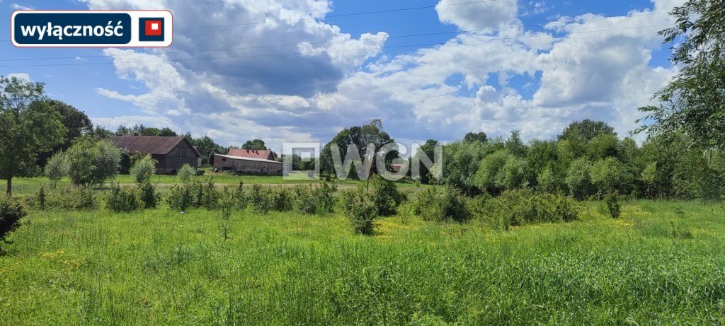 Działka inna na sprzedaż Miłusze  2 500m2 Foto 3