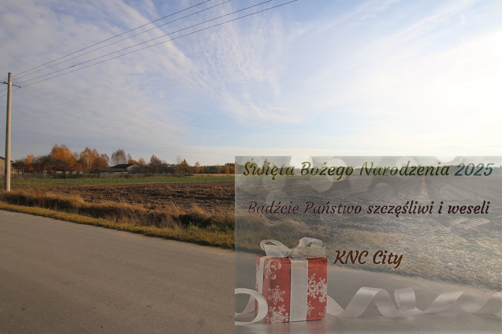 Działka budowlana na sprzedaż Sobolew-Kolonia  6 558m2 Foto 1