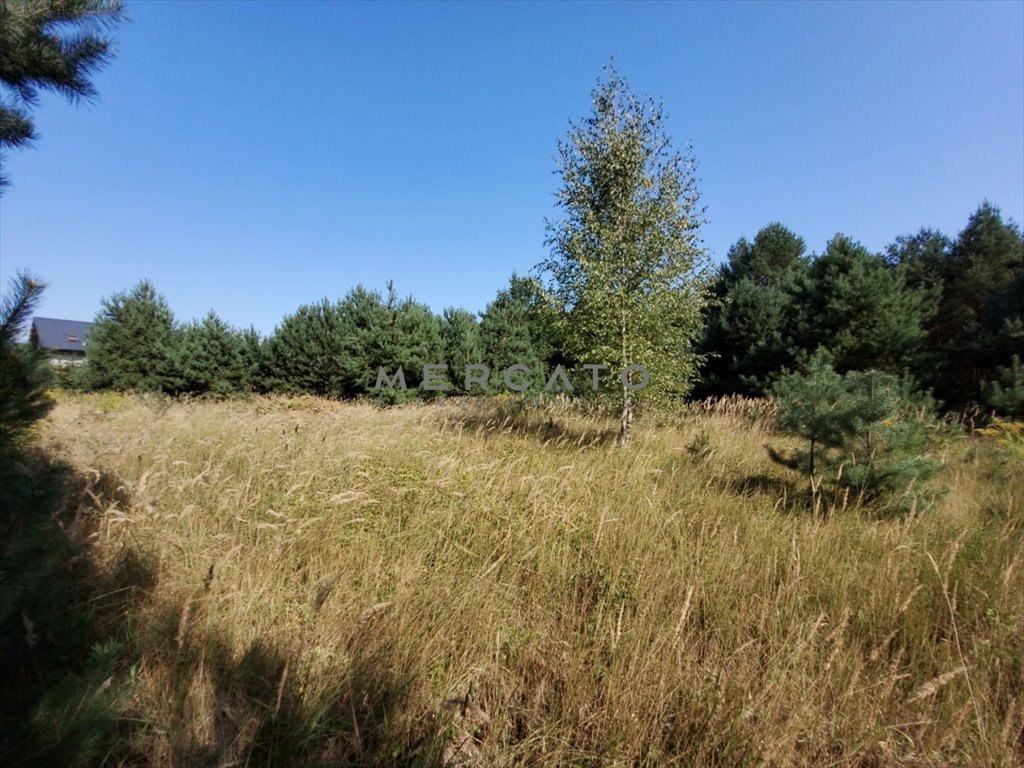 Działka budowlana na sprzedaż Marianów  3 000m2 Foto 5