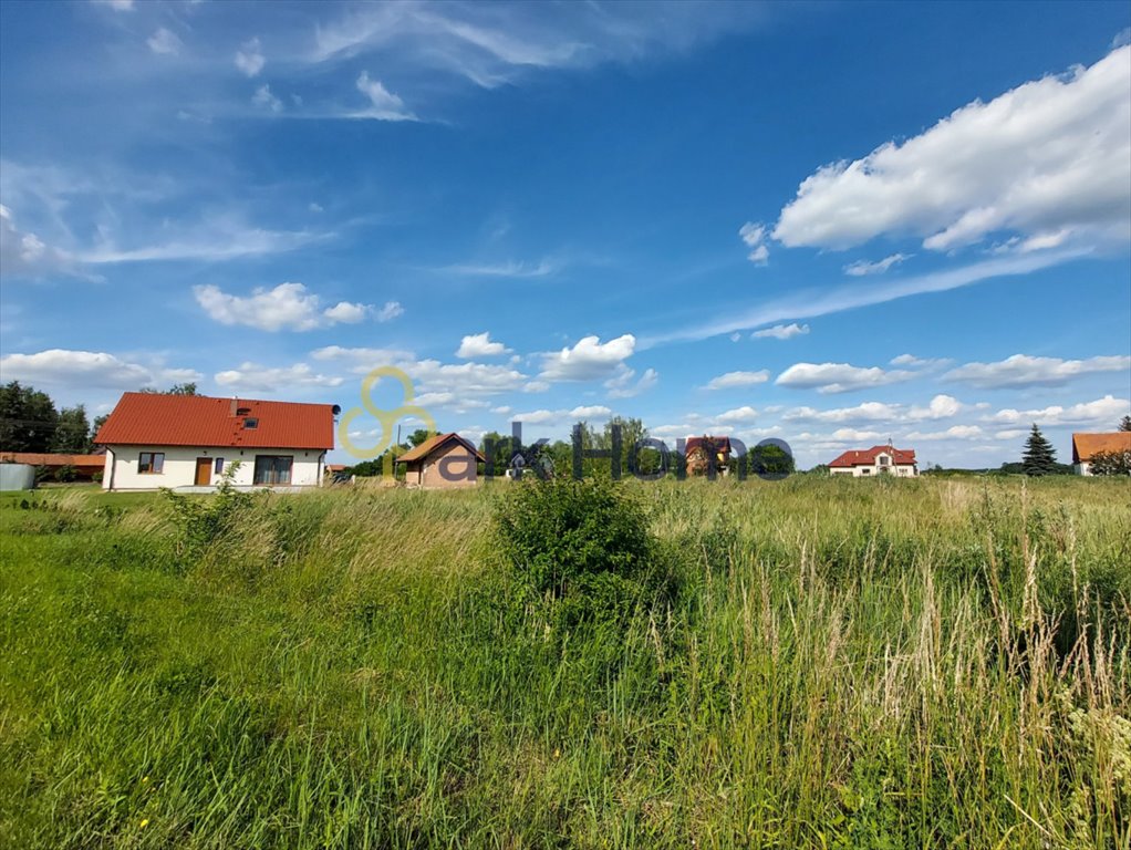 Działka budowlana na sprzedaż Barkowo  5 878m2 Foto 6