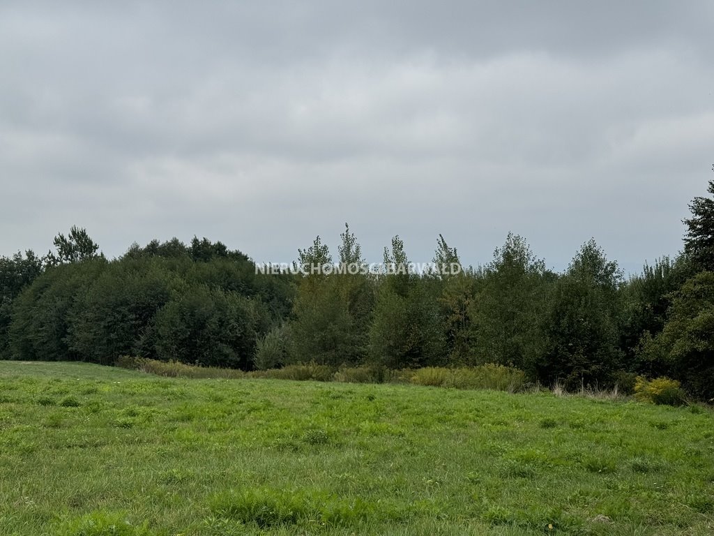 Działka siedliskowa na sprzedaż Babica  48 990m2 Foto 1