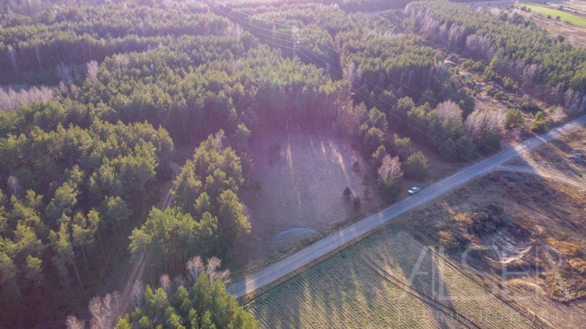 Działka budowlana na sprzedaż Prabuty  7 770m2 Foto 2