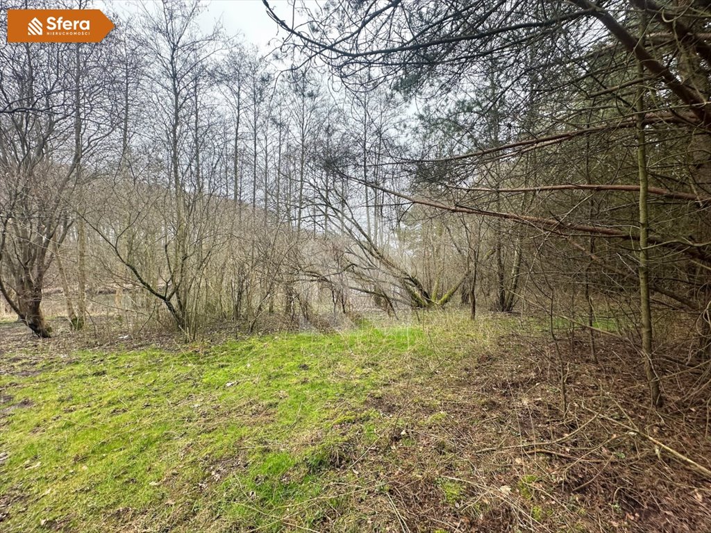 Działka 5519 m² z linią brzegową Brdy, Piaski Bydgoszcz, Piaski  5 519m2 Foto 1