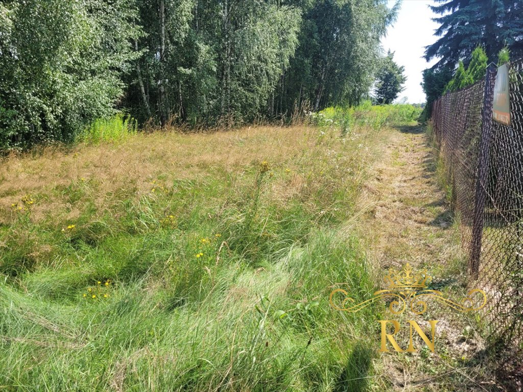 Działka rolna na sprzedaż Tereszyn  3 100m2 Foto 5