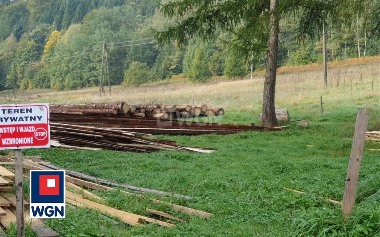 Działka rekreacyjna na sprzedaż Wisła, Jawornik  19 000m2 Foto 9