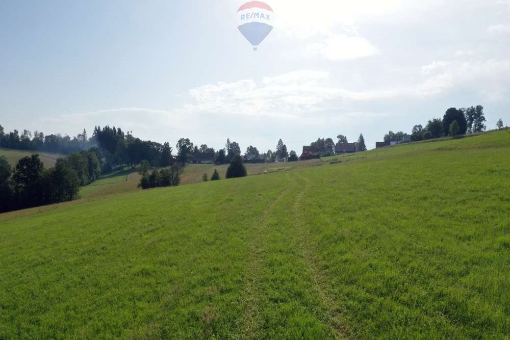 Działka rolna na sprzedaż Maruszyna  12 650m2 Foto 12