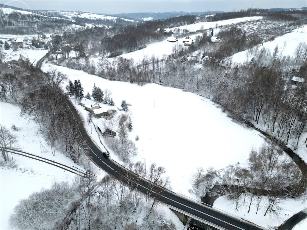 Działka rolna na sprzedaż Rzepiennik Marciszewski  15 000m2 Foto 11