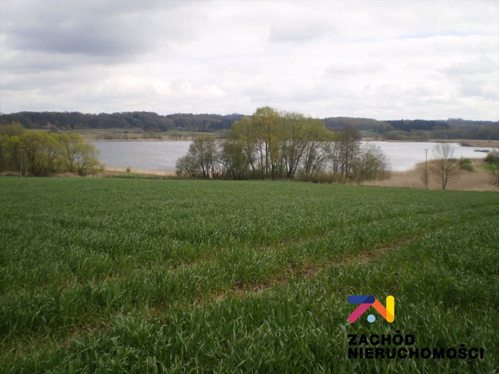 Działka 4ha z widokiem na jezioro, pod rezydencję lub biznes Recz  40 000m2 Foto 1