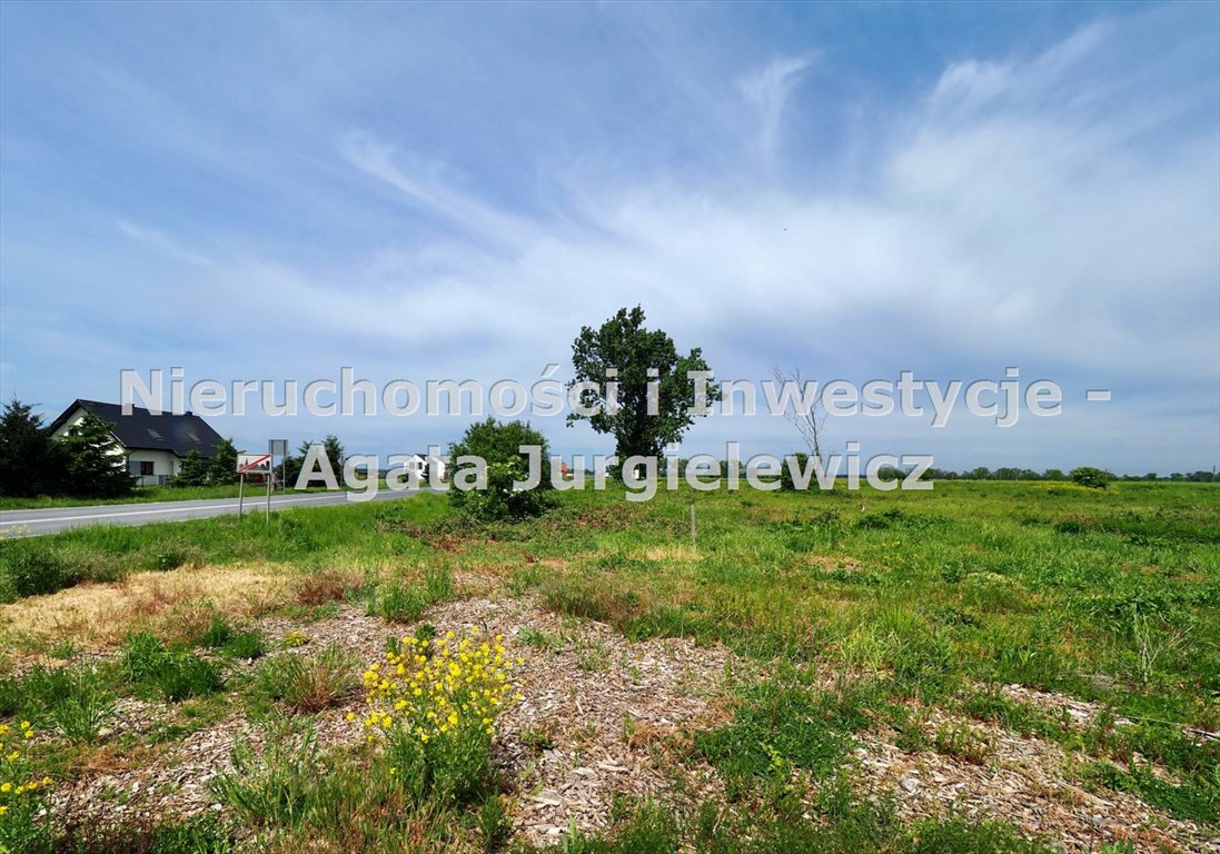 Działka inna na sprzedaż Dąbrowa  1 000m2 Foto 1