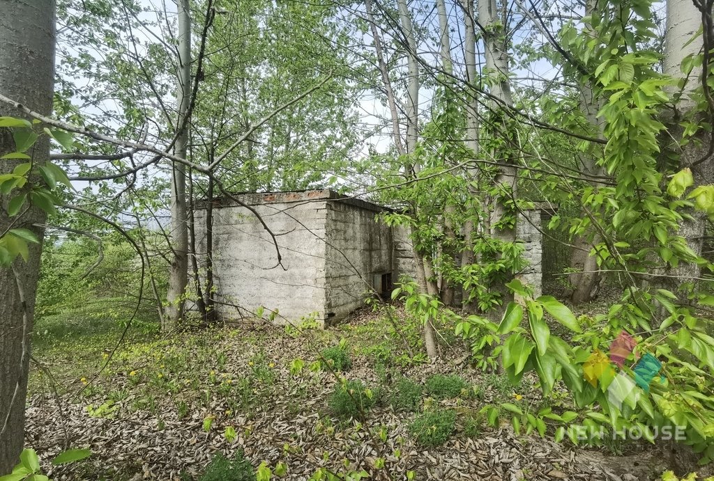 Działka budowlana na sprzedaż Potryty  1 631m2 Foto 5