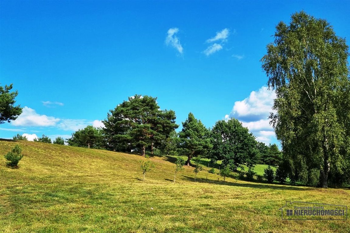 Działka budowlana na sprzedaż Dołgie  7 208m2 Foto 11